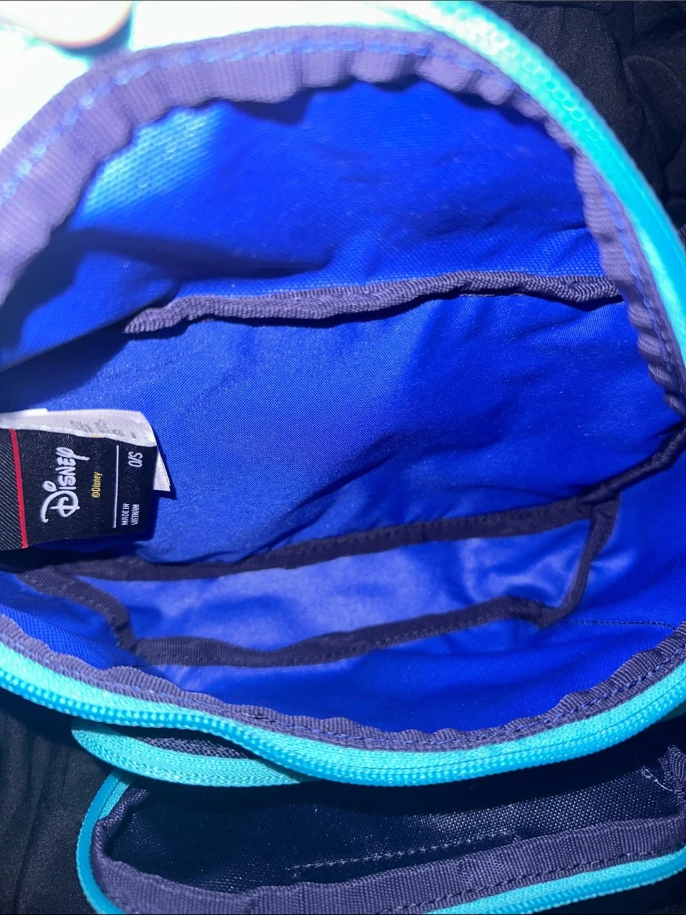 Mickey Columbia Belt Bag